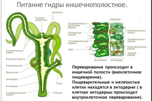 Блэкспрут ссылка тор bs2webes net