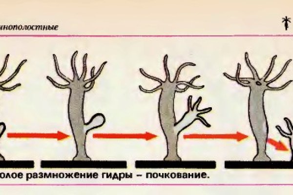 Код blacksprut blacksprul me