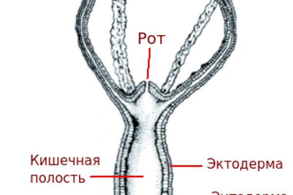 Black sprut зеркало официальный сайт